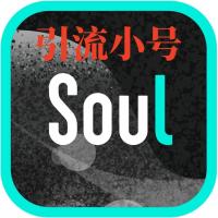 soul账号购买 出售soul小号 男女号 引流必备可安全直登